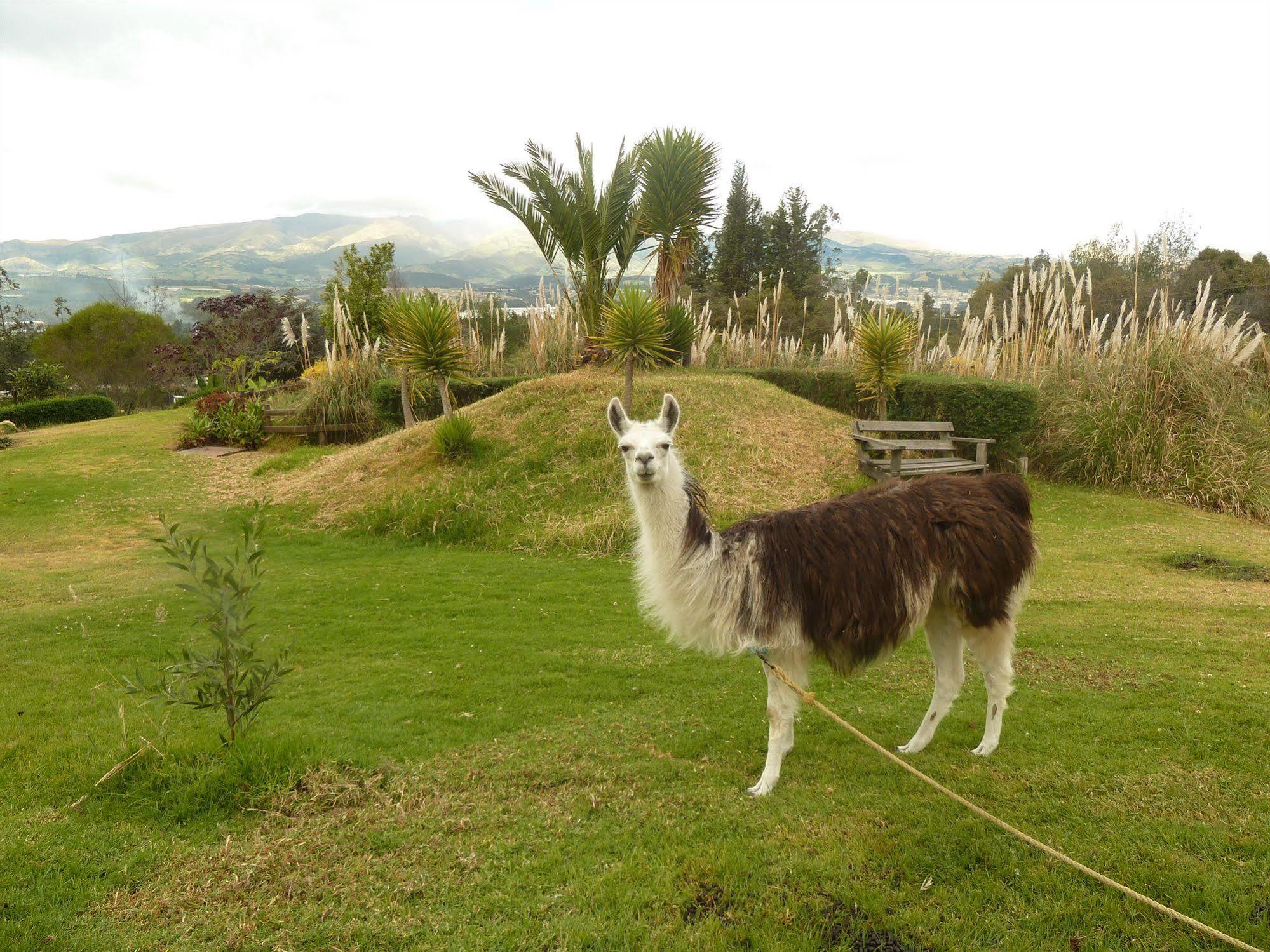 Hacienda Hosteria San Luis Cayambe Exterior foto